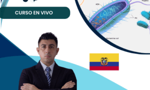 Plásmidos Recombinantes