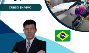 Sumisión manuscritos científicos en Web of Science y SCOPUS