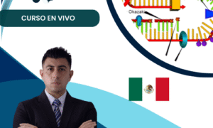 Construcción de plásmidos en SnapGene